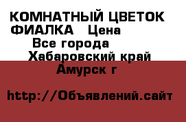 КОМНАТНЫЙ ЦВЕТОК -ФИАЛКА › Цена ­ 1 500 - Все города  »    . Хабаровский край,Амурск г.